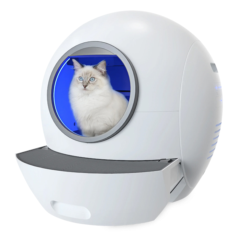 Arenero Automático 1