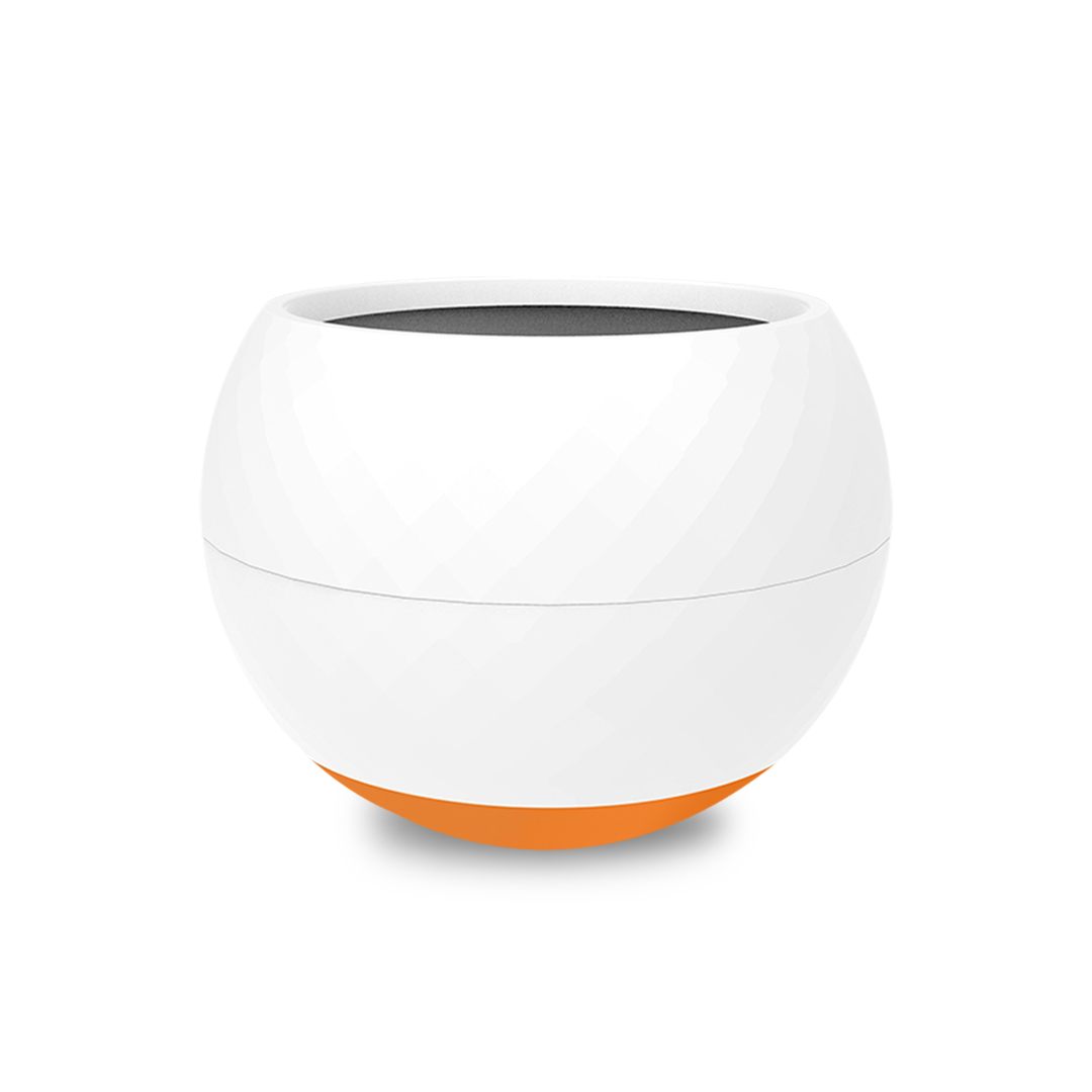 Comedero para Perros y Gatos Ansiosos - Naranja - Fondo Blanco